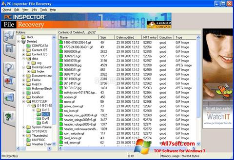 Posnetek zaslona PC Inspector File Recovery Windows 7