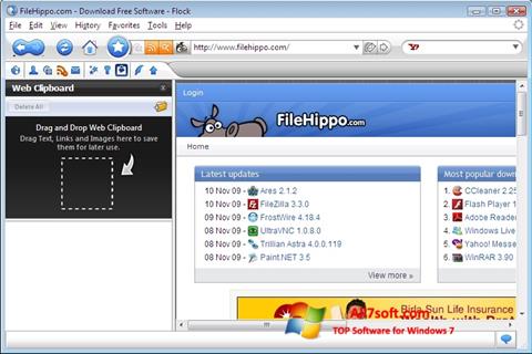 Posnetek zaslona Flock Windows 7