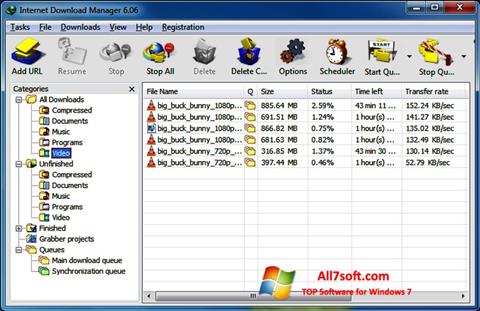 Posnetek zaslona Internet Download Manager Windows 7