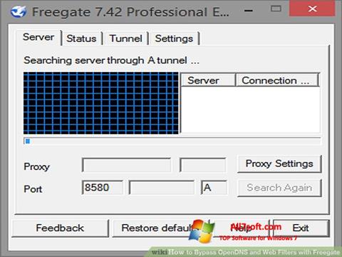 Posnetek zaslona Freegate Windows 7