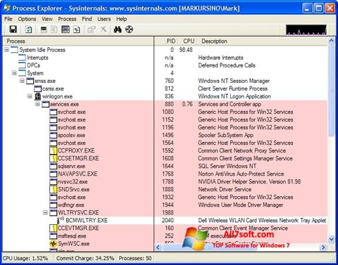 Posnetek zaslona Process Explorer Windows 7