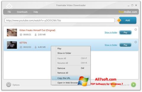 Posnetek zaslona Freemake Video Downloader Windows 7